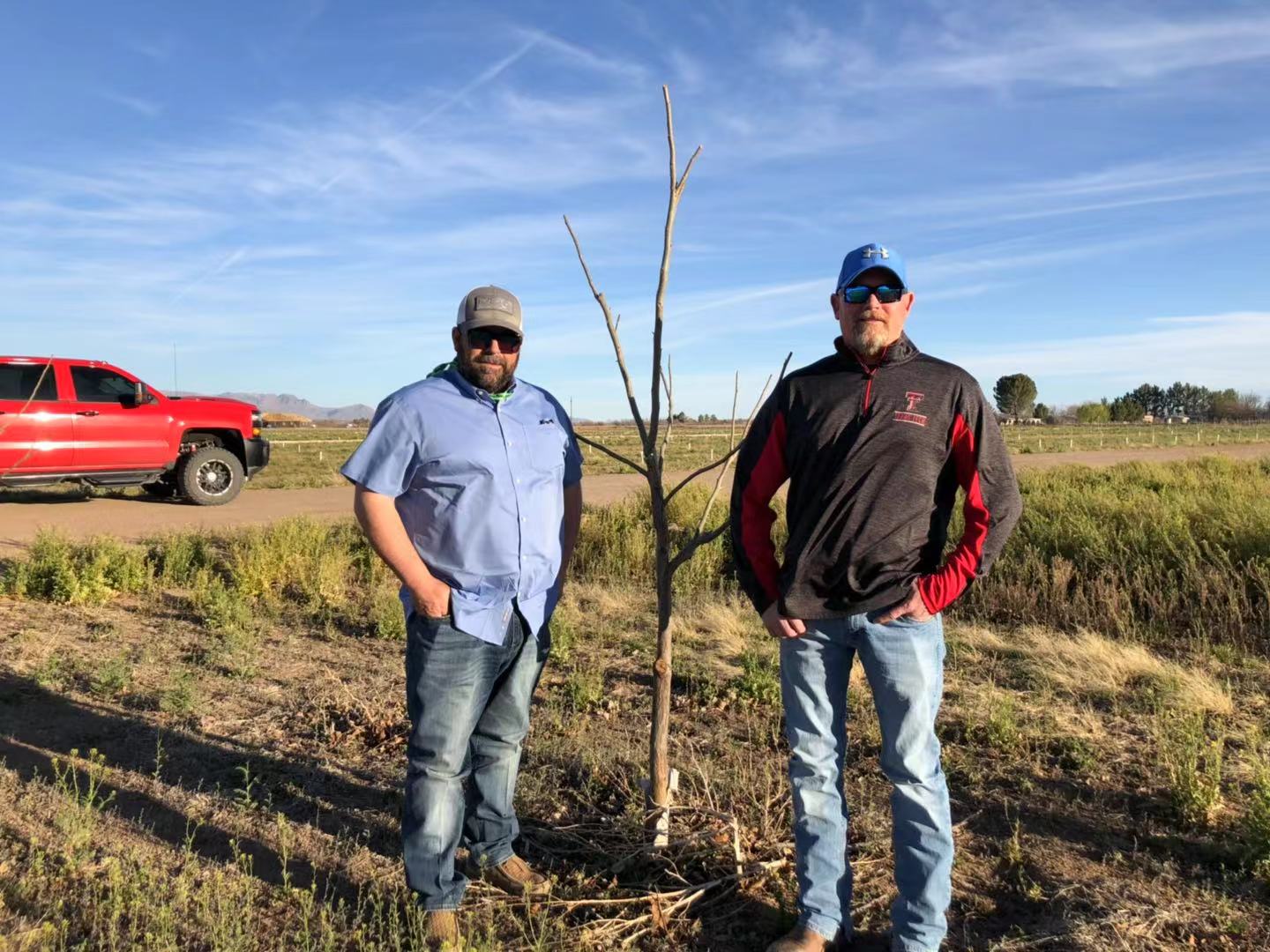 New Mexico Is Now Top US Pecan Producer Produce Report